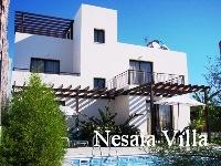 cyprus holiday villa nesaia